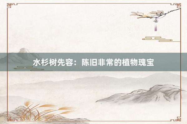 水杉树先容：陈旧非常的植物瑰宝