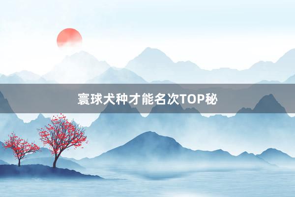 寰球犬种才能名次TOP秘