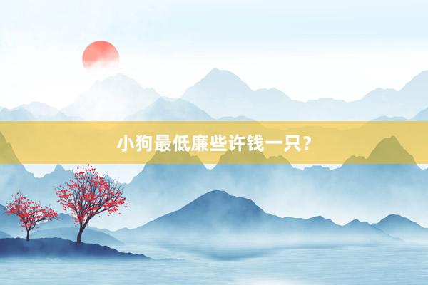 小狗最低廉些许钱一只？