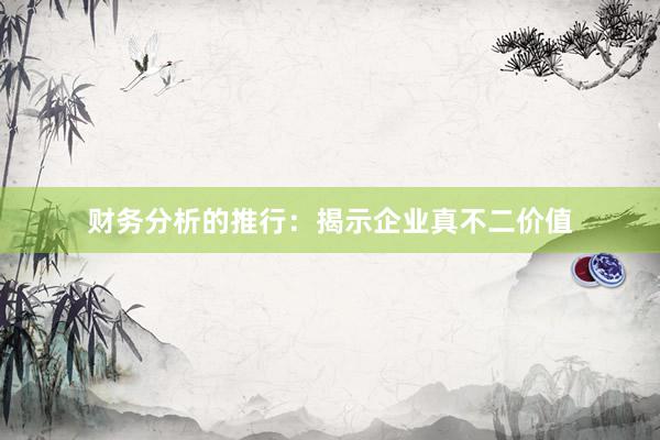 财务分析的推行：揭示企业真不二价值